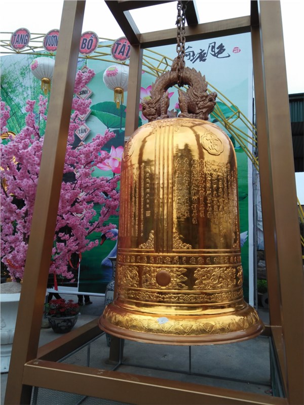 Ảnh hoạt động ngoại khoá của HS&GV